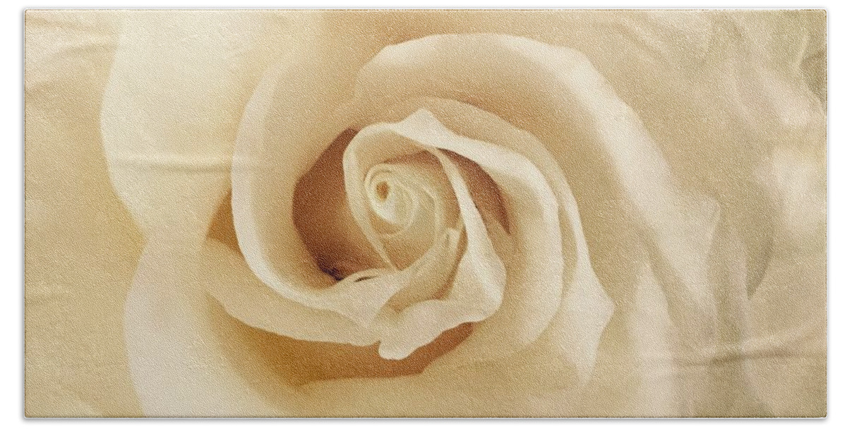 Rose Bath Towel featuring the photograph Creamy Rose by Kate Conaboy