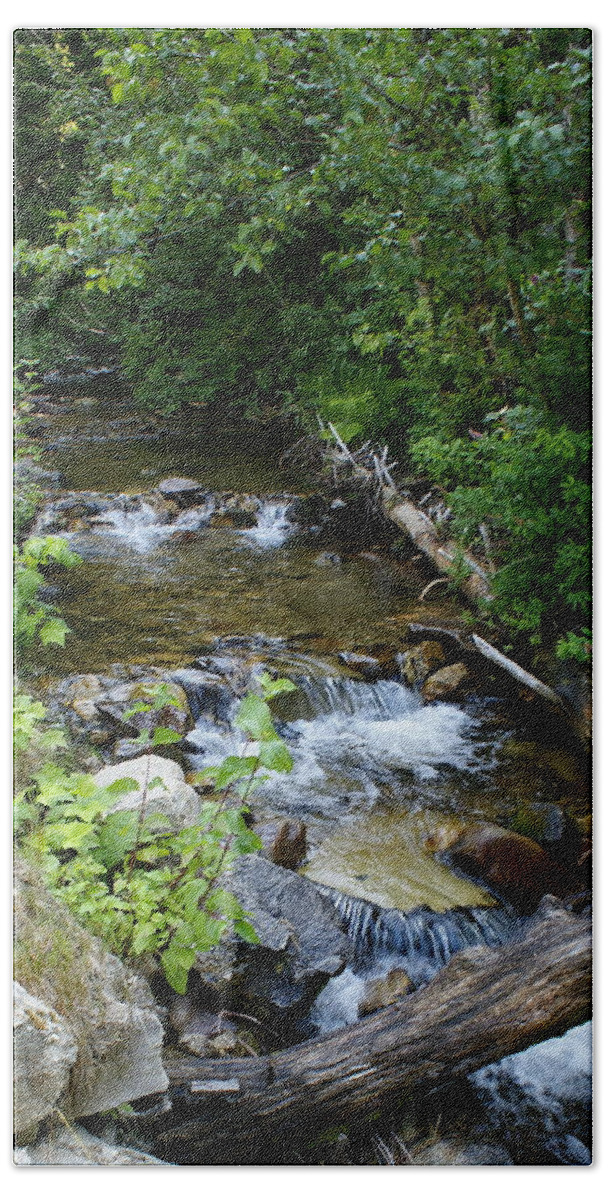 Nature Hand Towel featuring the photograph Creek on Mt. Spokane 1 by Ben Upham III