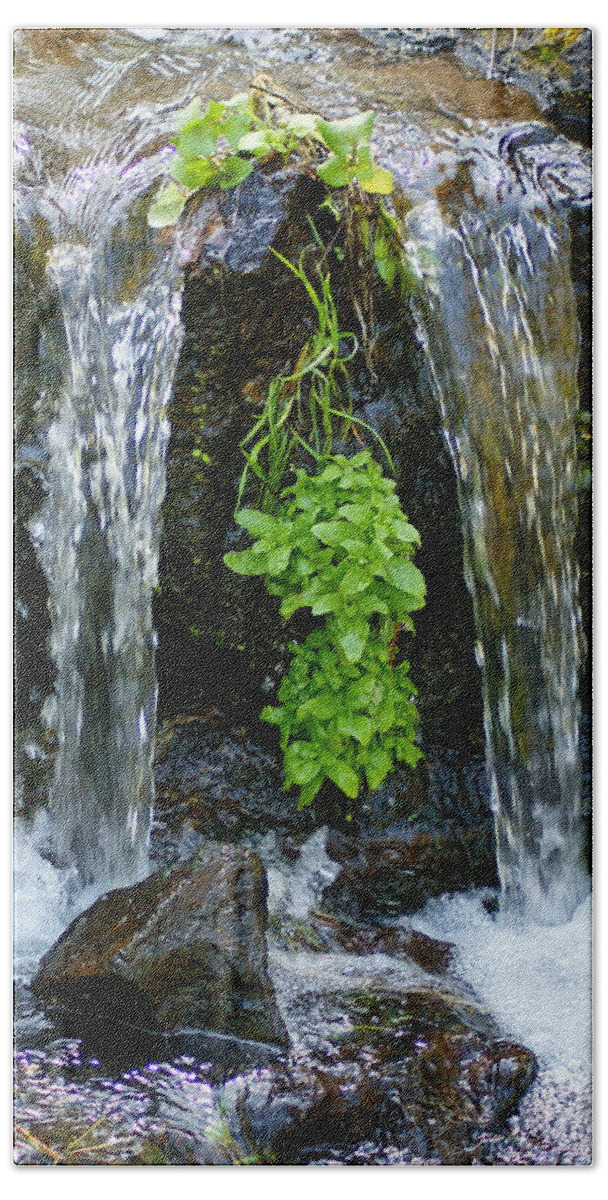 Creek Bath Towel featuring the photograph Creek Peace by Ben Upham III