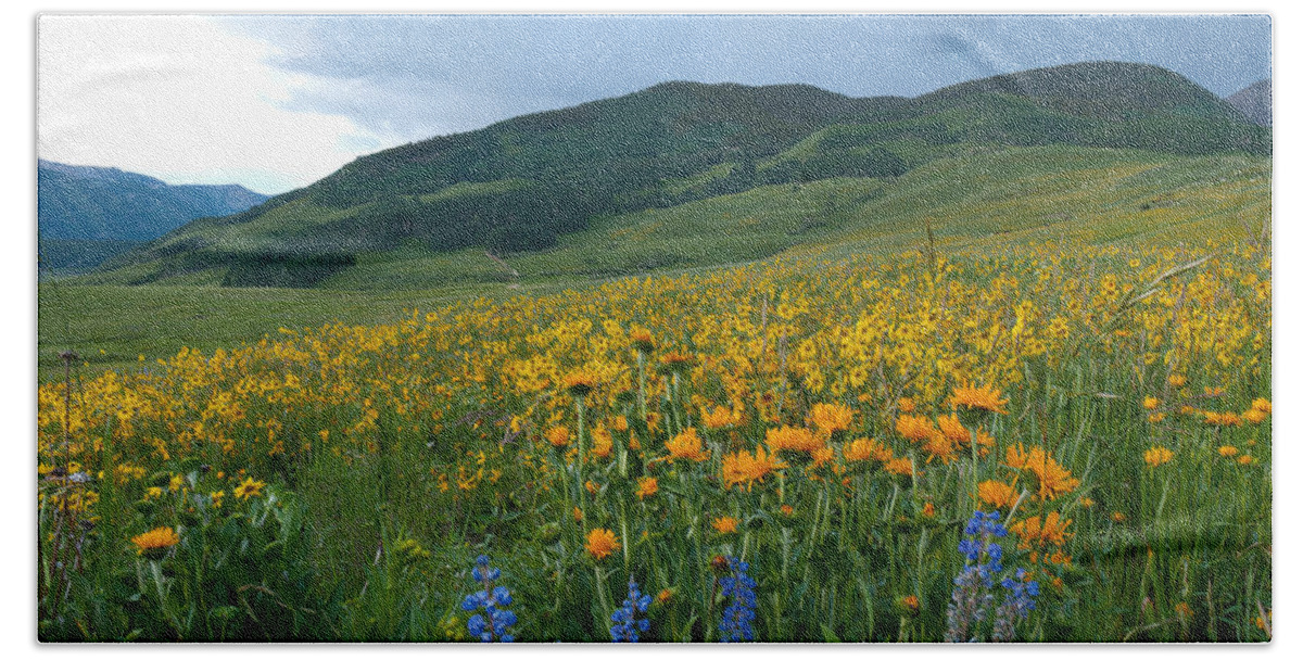 Wildflower Bath Towel featuring the photograph Crested Butte Evening Wildflowers and Mountains by Cascade Colors
