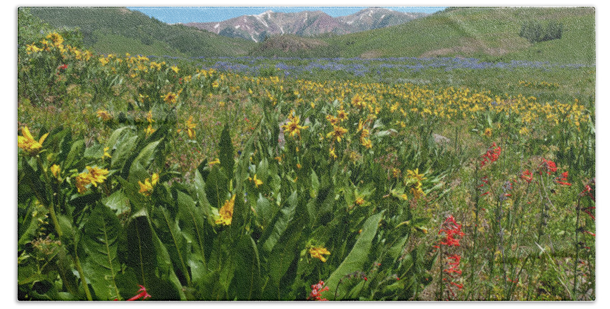 Crested Butte Bath Towel featuring the photograph Crested Butte Wildflower Meadow and Mountains by Cascade Colors