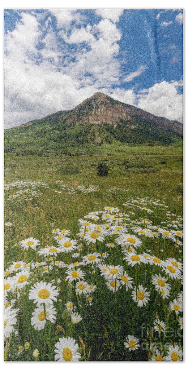 Crested Butte Bath Towel featuring the photograph Crested Butte Wildflowers by Ronda Kimbrow