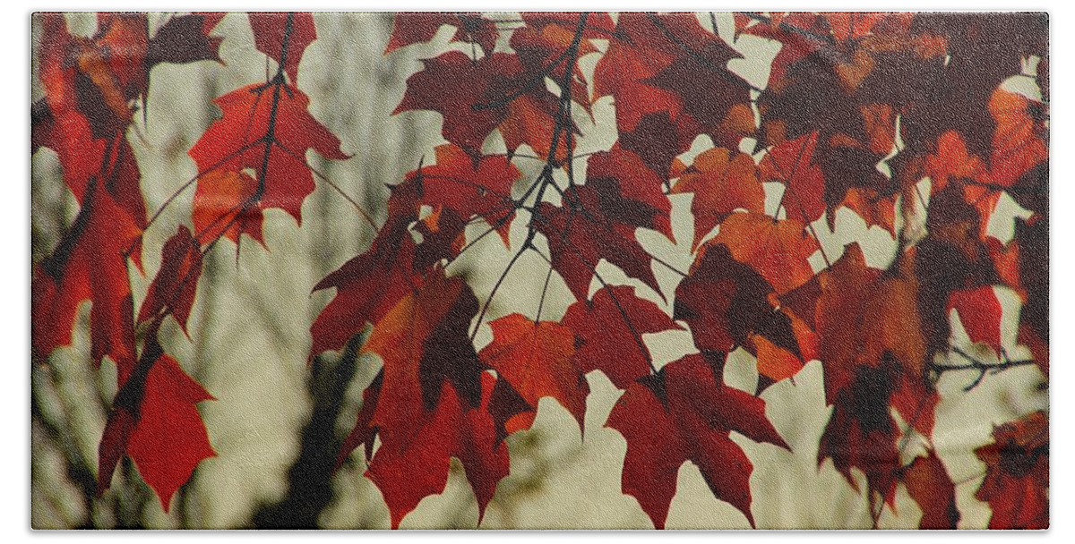 Leaves Hand Towel featuring the photograph Crimson Red Autumn Leaves by Chris Berry