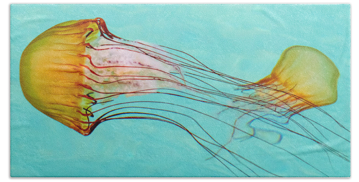 Jelly Fish Bath Towel featuring the photograph Criss Cross by Derek Dean