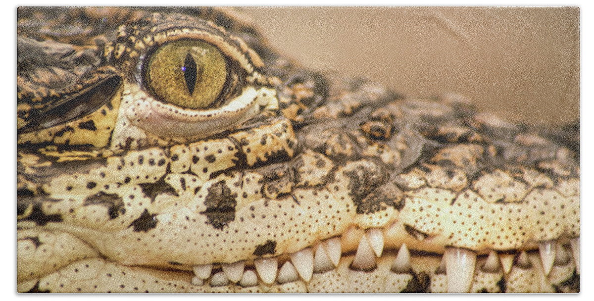 Animals Bath Towel featuring the photograph Cuban Croc Smile by Don Johnson
