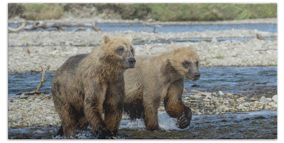 Alaska Hand Towel featuring the photograph Cubs on the Prowl by Cheryl Strahl