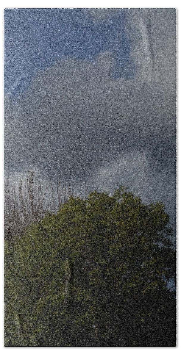  Bath Towel featuring the photograph Cumulus 14 and Trees by Richard Thomas