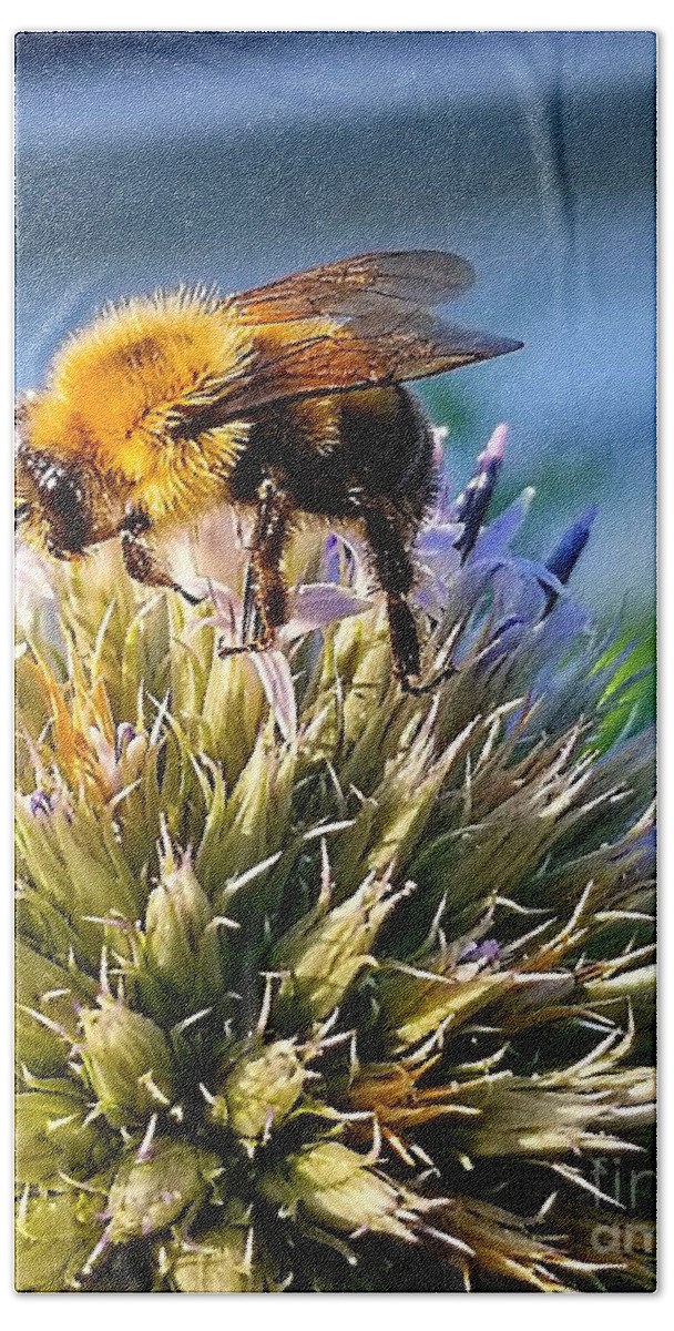 Sea Hand Towel featuring the photograph Curious Bee by Michael Graham