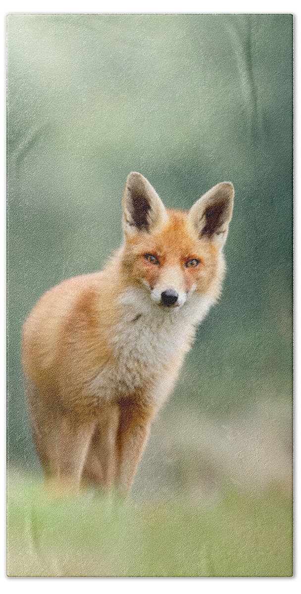 Red Fox Bath Towel featuring the photograph Curious Fox by Roeselien Raimond