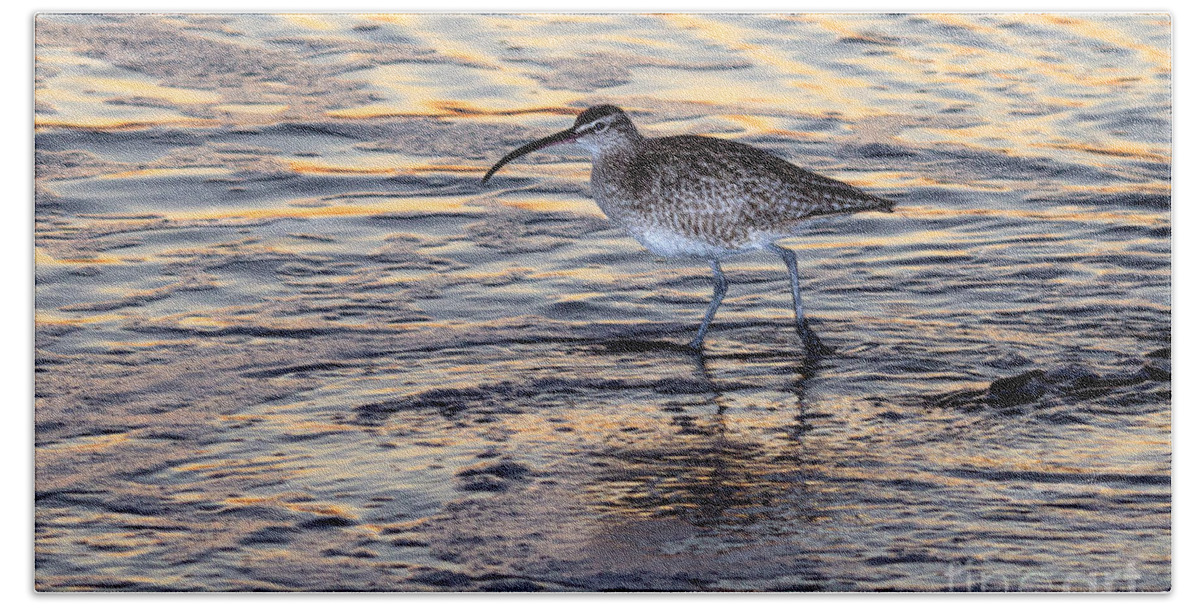 Curlew Hand Towel featuring the photograph Curlew at sunset by Shawn Jeffries