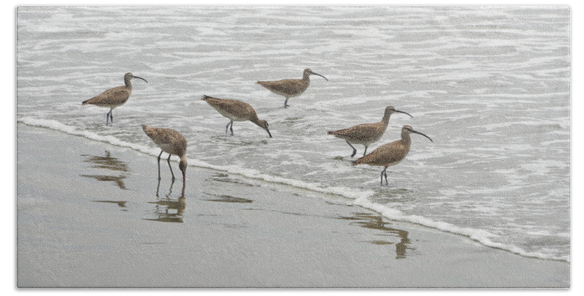 Birds Hand Towel featuring the photograph Curlews at the Beach by Erik Burg