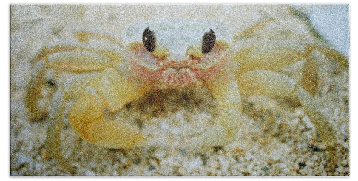 #沖縄 #churaumiaquarium #beach #okinawa #japan #crab #cools_japan #japan_of_insta #seaside #cute #kawaii #かわいい #travel_captures #pentax #fa31 Bath Towel featuring the photograph Cute crab by Kuro Kuro