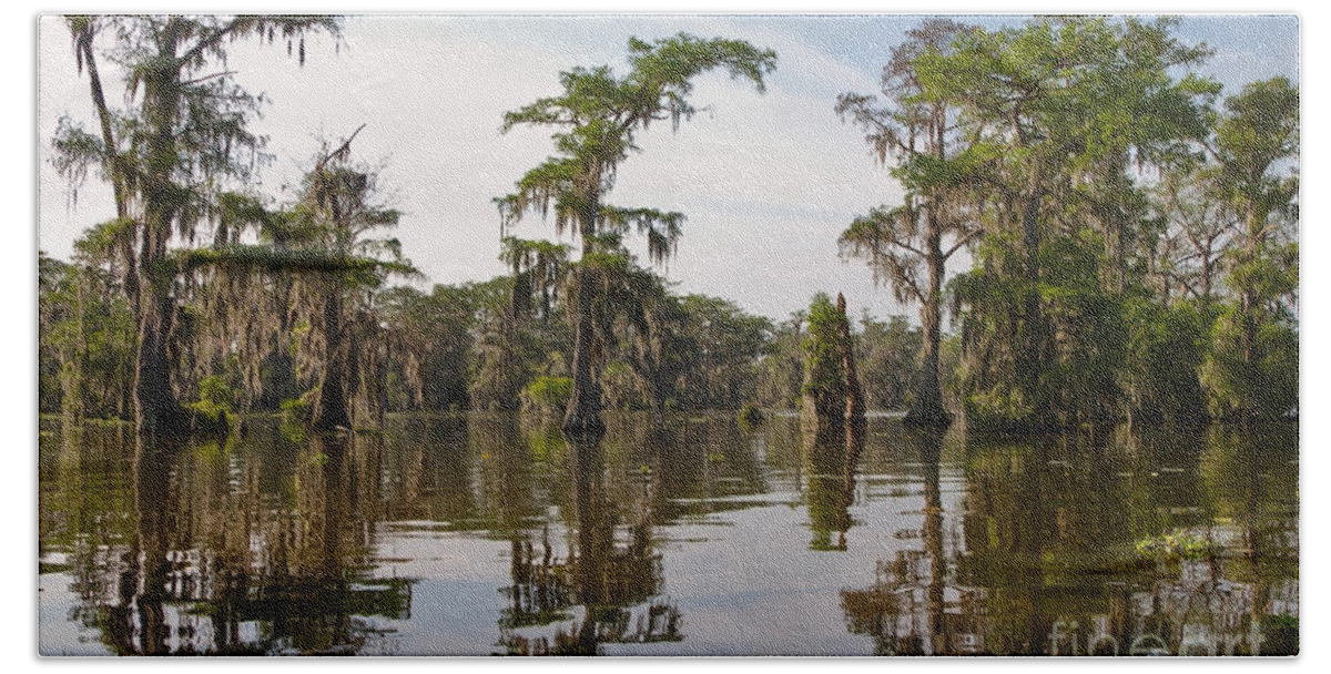Swamp Bath Towel featuring the photograph Cypress Trees and Spanish Moss in Lake Martin by Louise Heusinkveld