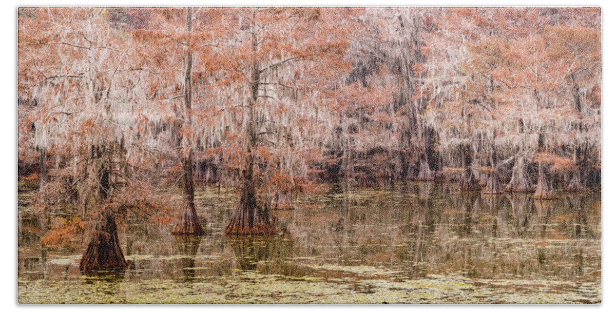 Caddo Lake State Park Hand Towel featuring the photograph cypress trees in caddo lake state park, TX by Mati Krimerman