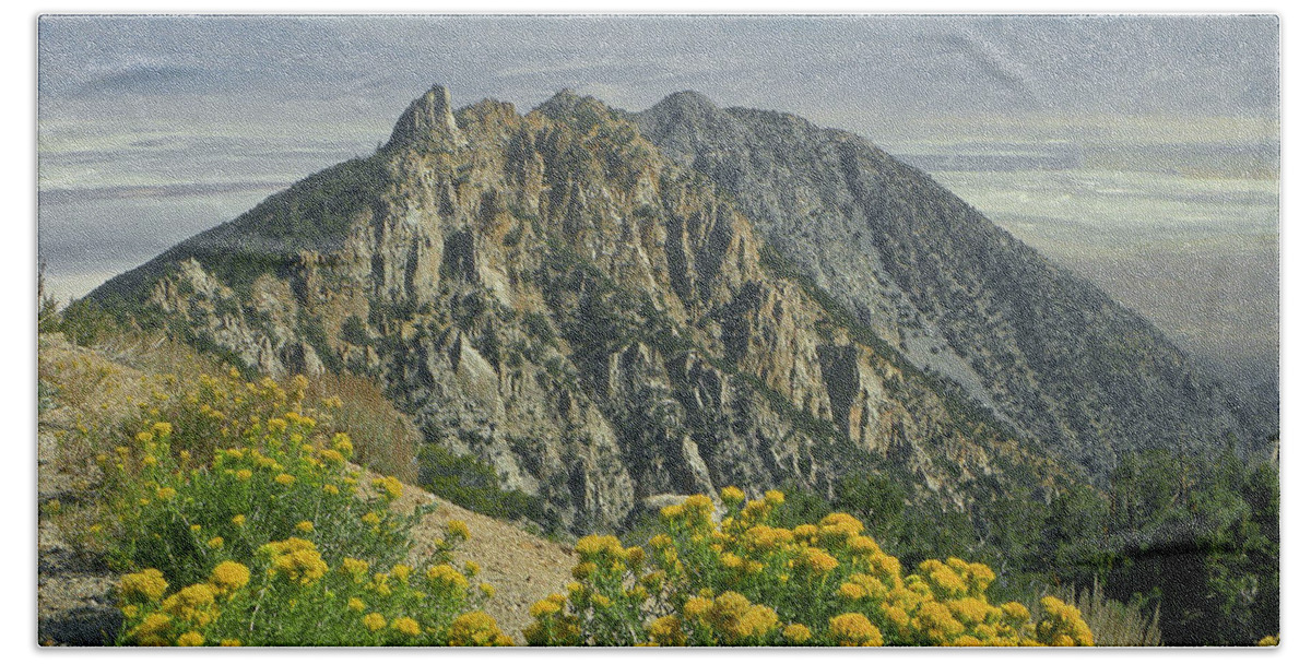 D2m6463 Bath Towel featuring the photograph D2M6463 Timosea Peak by Ed Cooper Photography