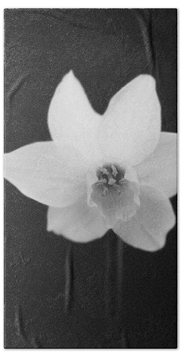 Flowers Bath Towel featuring the photograph Daffodil In Black And White by Dorothy Lee