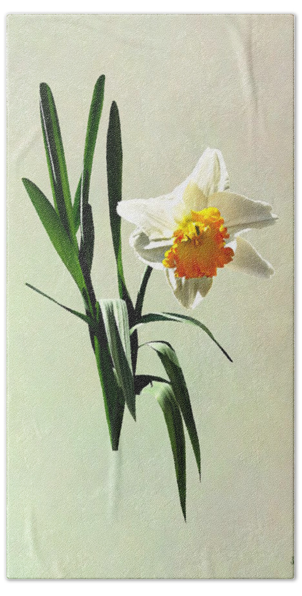 Daffodil Bath Towel featuring the photograph Daffodil Taking a Bow by Susan Savad