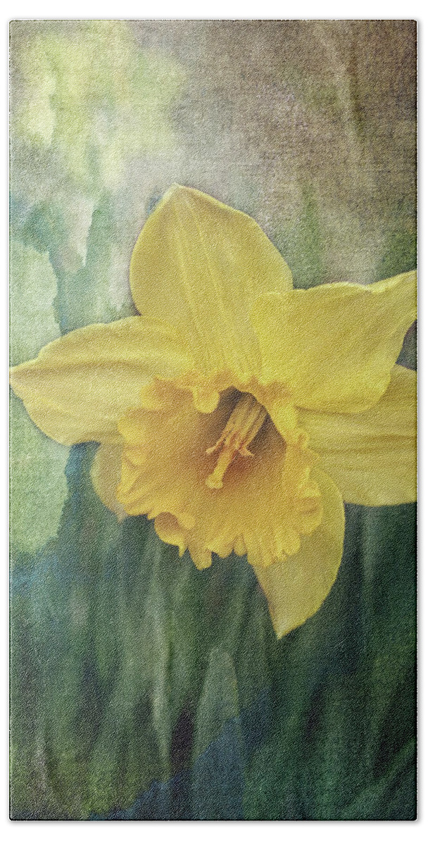 Daffodils In Bloom Print Hand Towel featuring the photograph Daffodils in Bloom by Gwen Gibson