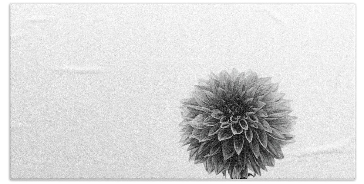 Dahlia Hand Towel featuring the photograph Dahlia In Black And White 2 by Mark Alder