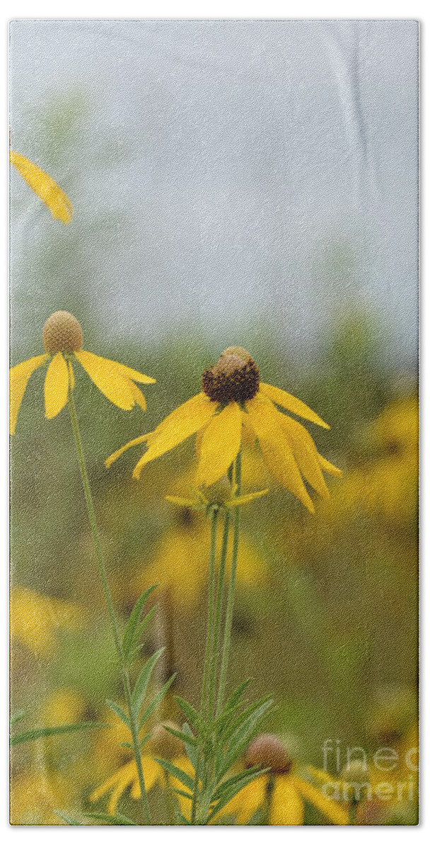 Daisies In The Mist Bath Towel featuring the photograph Daisies in the Mist by Maria Urso
