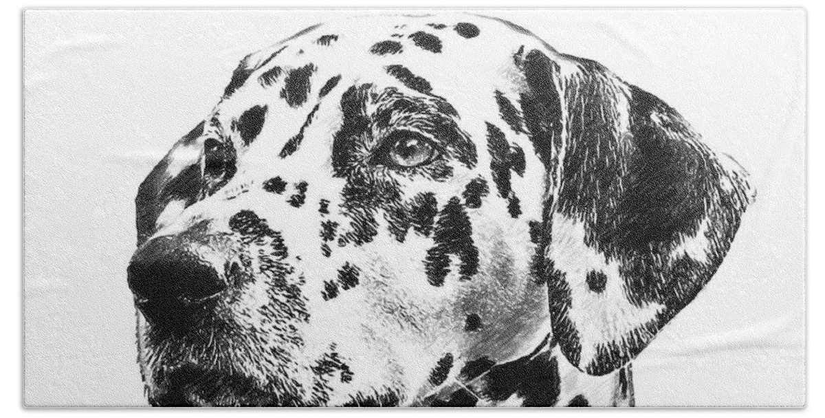 Dalmatians Hand Towel featuring the drawing Dalmatians - DWP765138 by Dean Wittle
