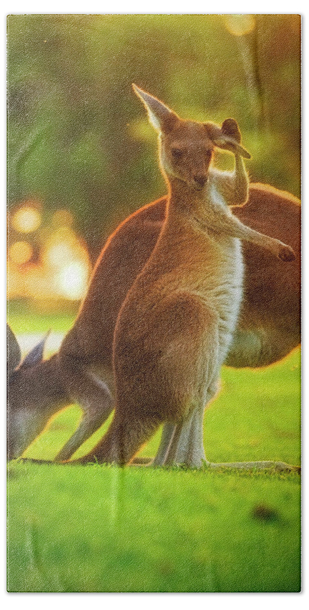 Mad About Wa Hand Towel featuring the photograph Damn Flies, Yanchep National Park by Dave Catley