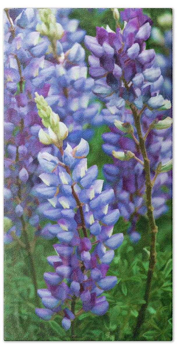 Wildflowers Hand Towel featuring the photograph Dancing Lupines - Spring in Central California by Ram Vasudev