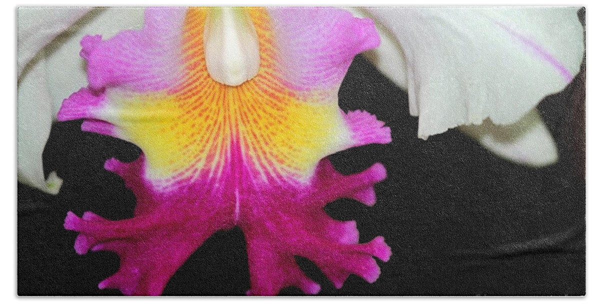 Orchid Bath Towel featuring the photograph Dancing Orchid by Sabrina L Ryan