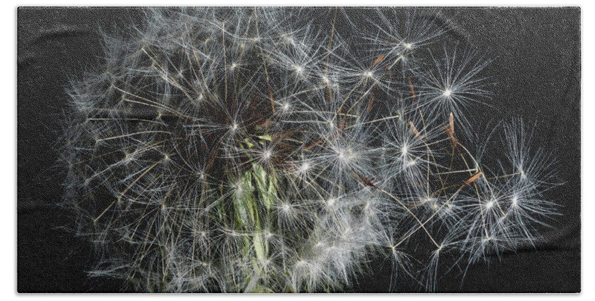 America Hand Towel featuring the photograph Dandelion 2 by James Sage