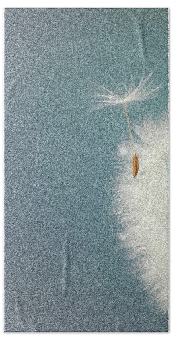 Dandelion Hand Towel featuring the photograph Dandelion Seedhead by Susan Gary