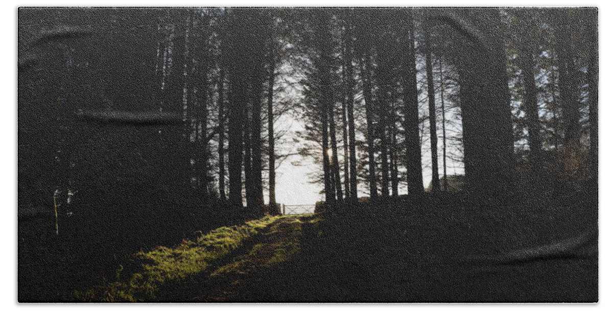 Fallen Tree Bath Towel featuring the photograph Dark Forest by Lukasz Ryszka