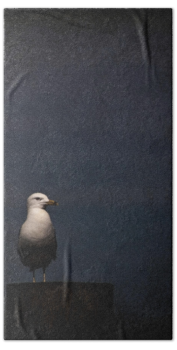Gull Bath Towel featuring the photograph Darkness Falls by Evelina Kremsdorf