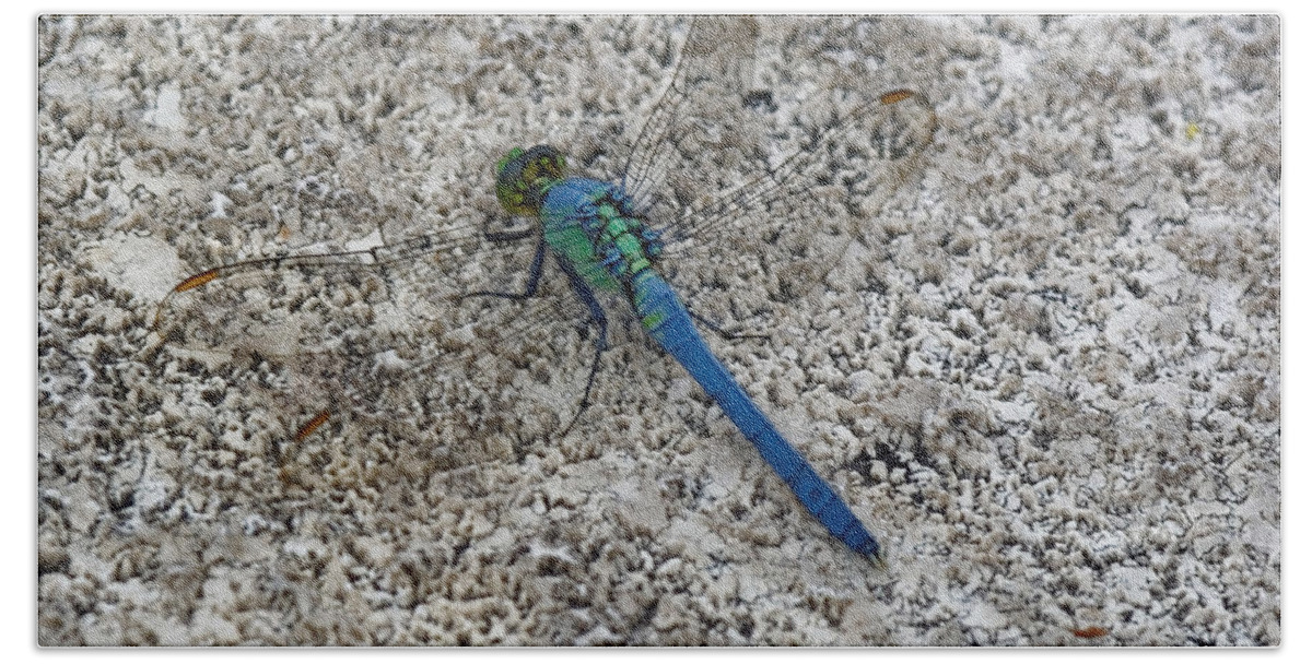 Dragonfly Hand Towel featuring the photograph Darter by Peter Ponzio