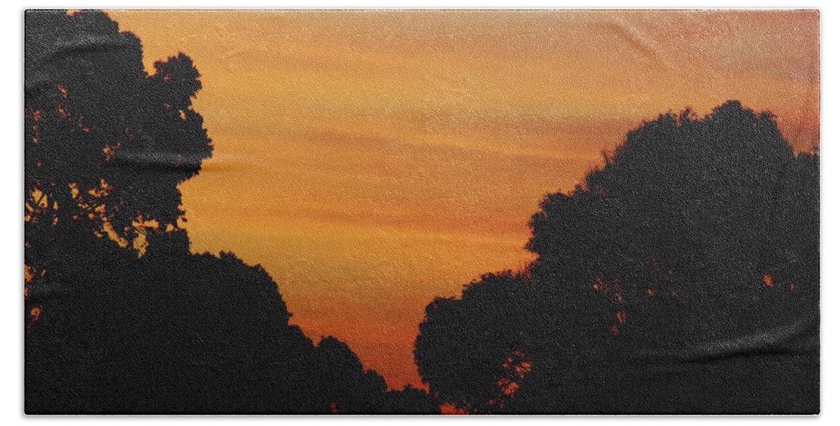 Sunrise Bath Towel featuring the photograph Dawn In The Forest by Mark Blauhoefer