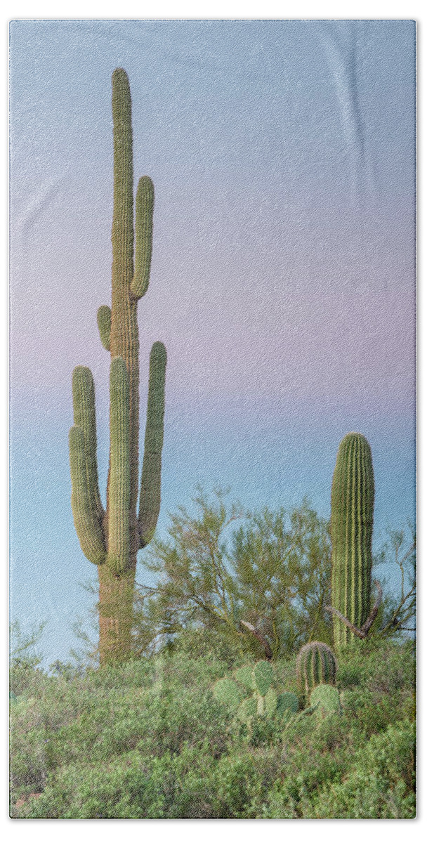 Superstition Mountains Bath Towel featuring the photograph Dawn of Saguaros by Greg Nyquist