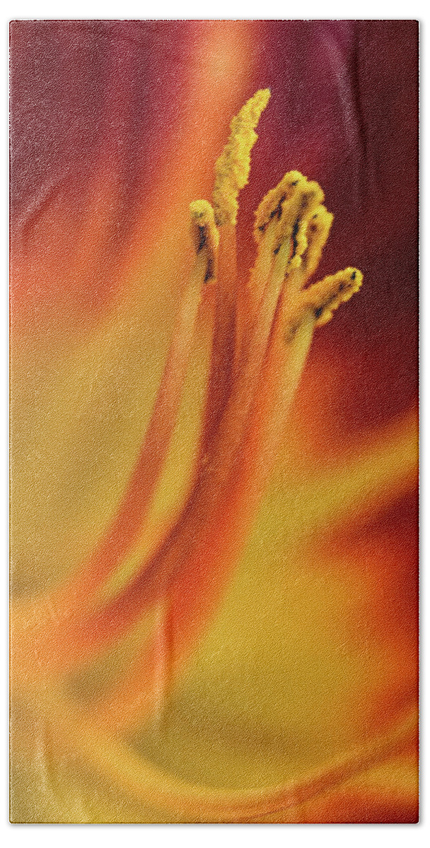 Daylily Bath Towel featuring the photograph Day Lily by Kuni Photography