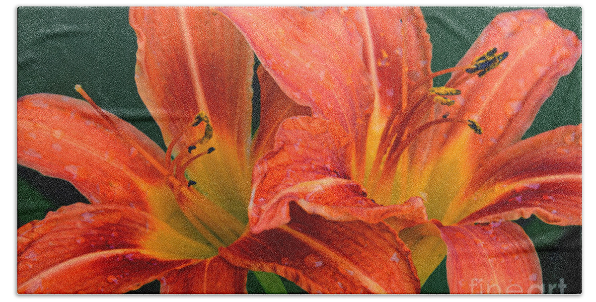 Daylilies Hand Towel featuring the photograph Daylilies in the Rain by Regina Geoghan