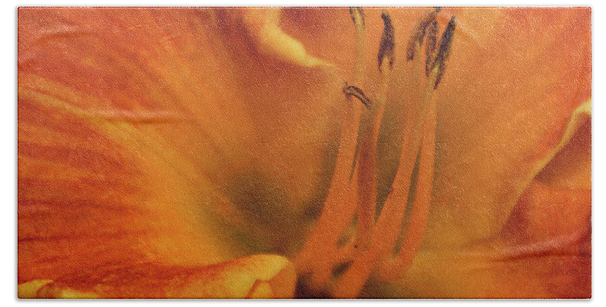Daylily Hand Towel featuring the photograph Daylily Close-up by Sandy Keeton