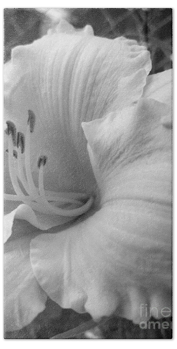 Daylily Bath Towel featuring the photograph Daylily Delight in Black and White by Rachel Hannah