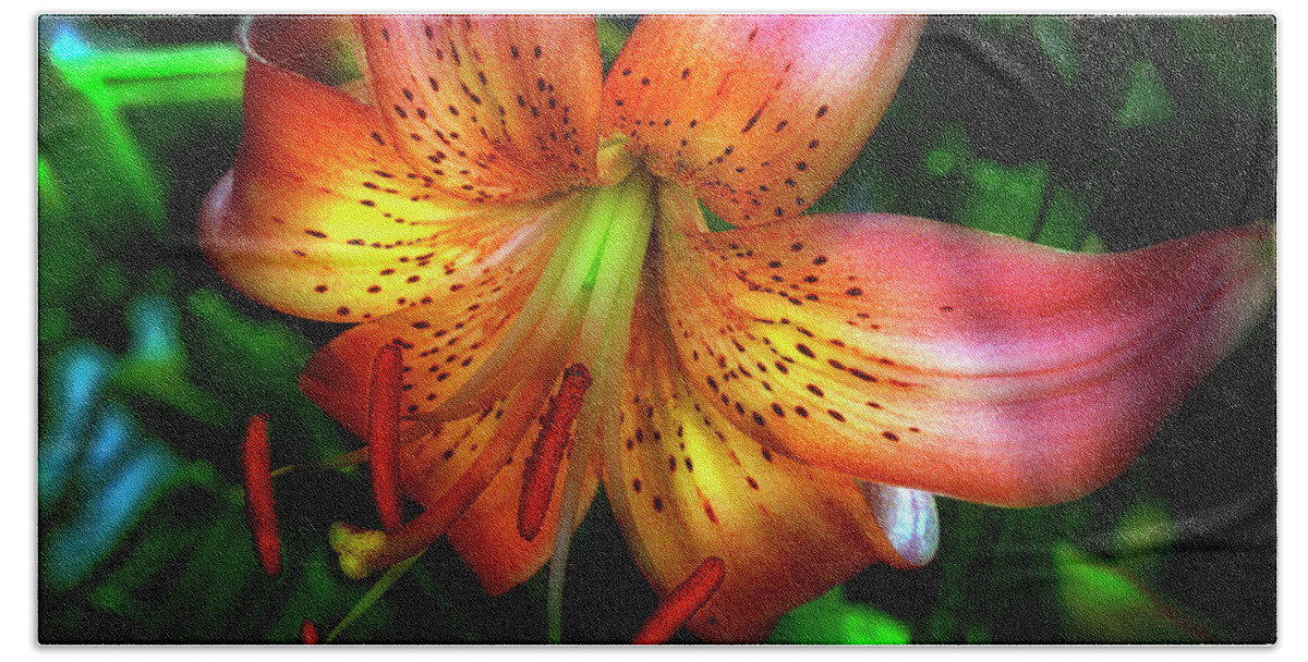 Flowers Hand Towel featuring the photograph Dazzling Daylily by Gary Shepard