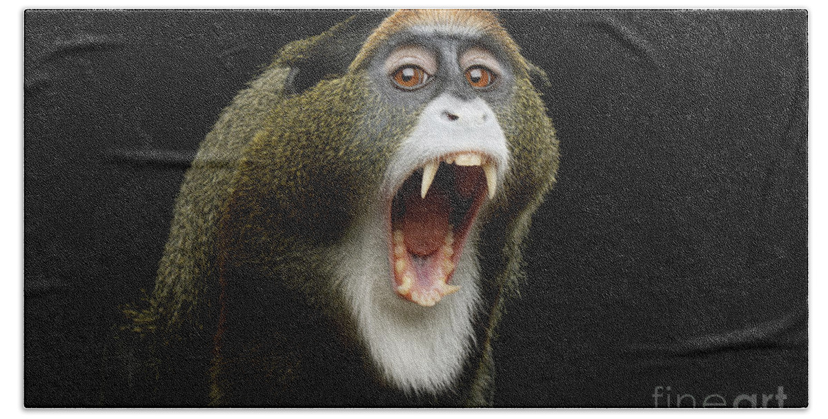 De Hand Towel featuring the photograph De Brazza's monkey yawn by Sergey Taran