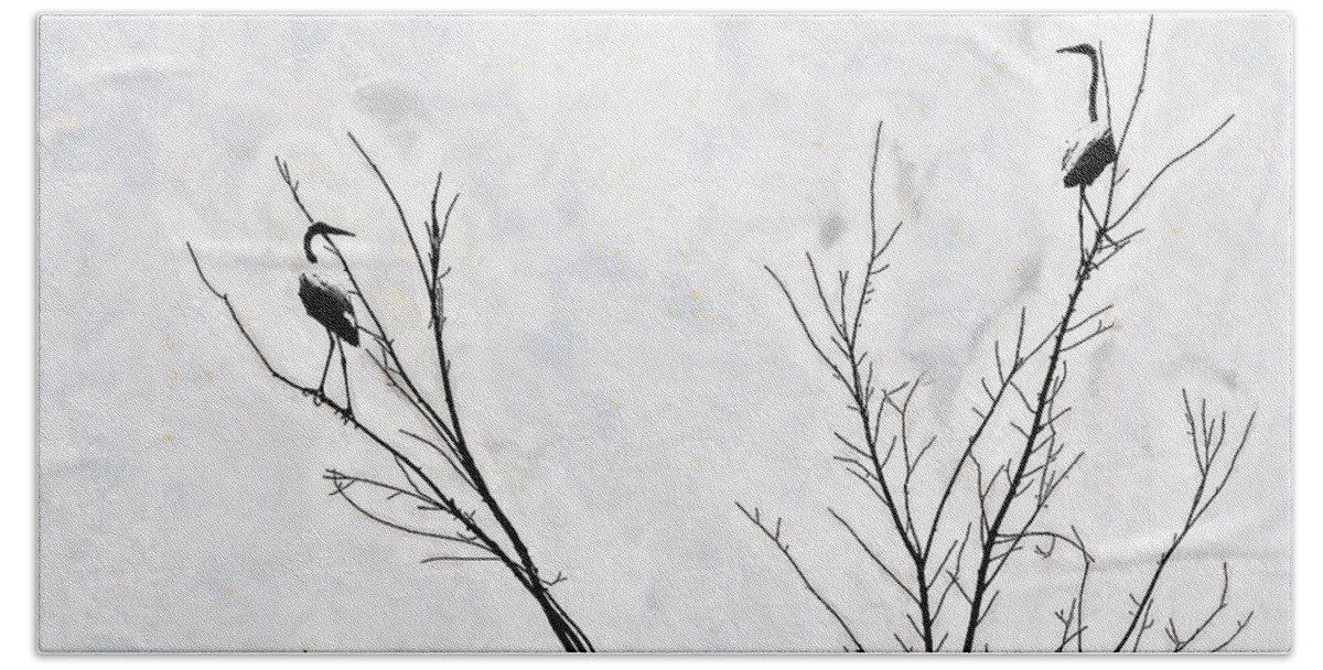 Bird Hand Towel featuring the photograph Dead Creek Cranes by Jim Proctor