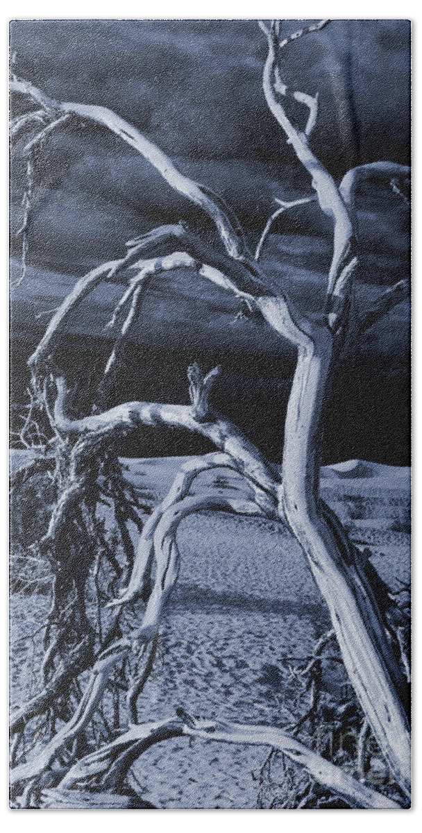 Death Valley Bath Towel featuring the photograph Dead tree in Death Valley 14 by Micah May