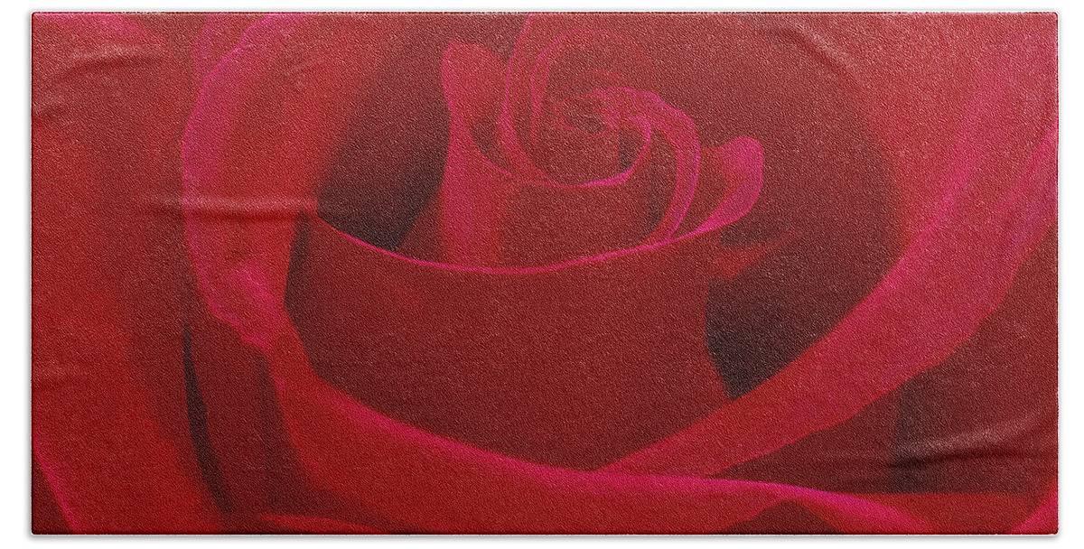 Red Rose Hand Towel featuring the photograph Deep Red Rose by Mike McGlothlen