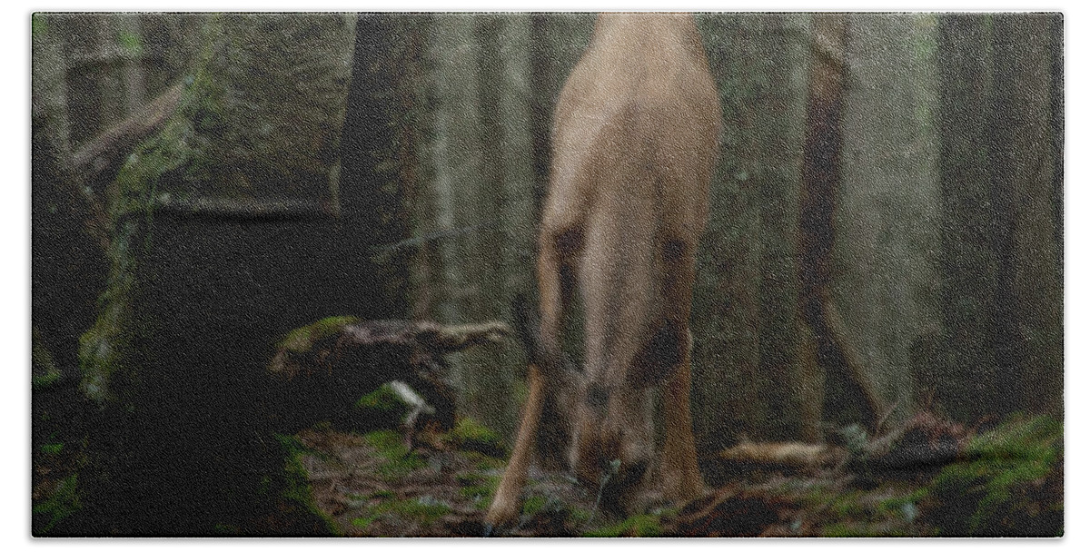 Forest Hand Towel featuring the photograph Deer by David Chasey
