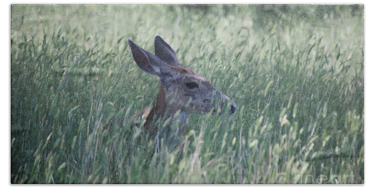 Deer Hand Towel featuring the photograph Deer in Grass by Veronica Batterson