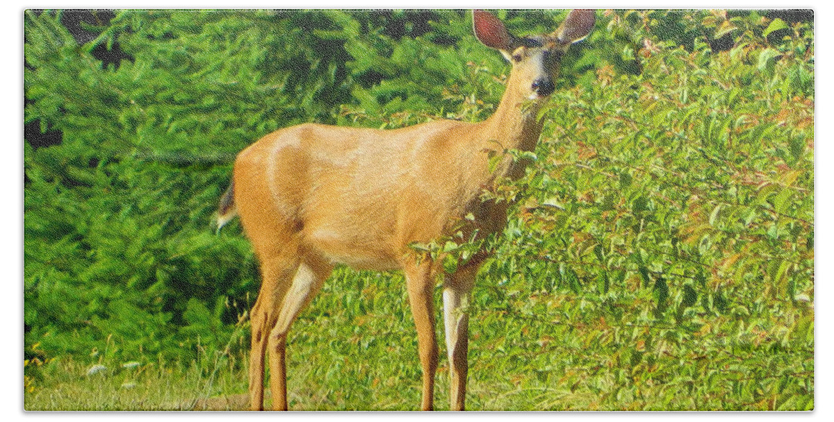 Deer Bath Towel featuring the photograph Deer To Me by Gallery Of Hope 