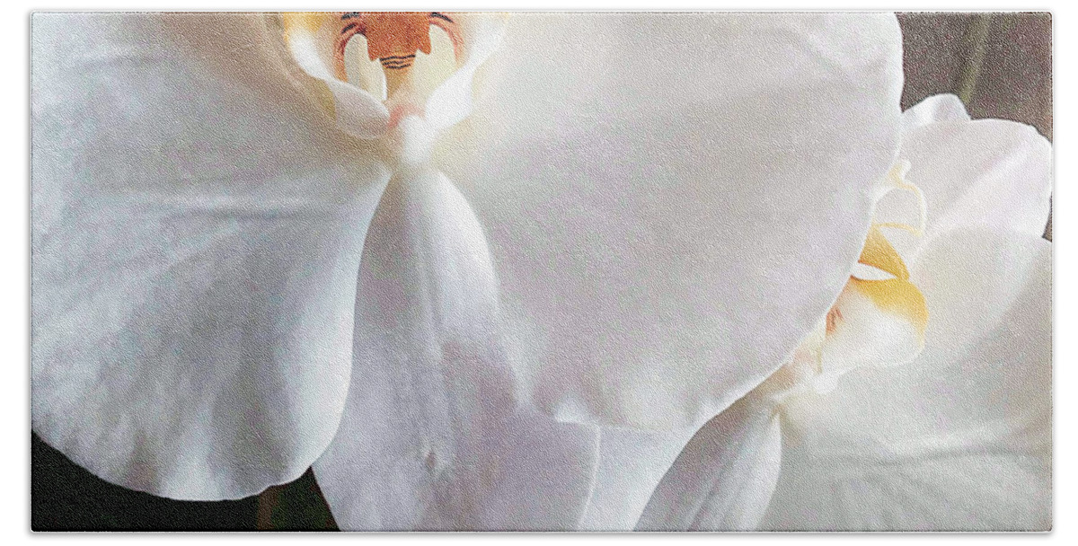 Flower Bath Towel featuring the photograph Delicate Bloom by Joyce Creswell