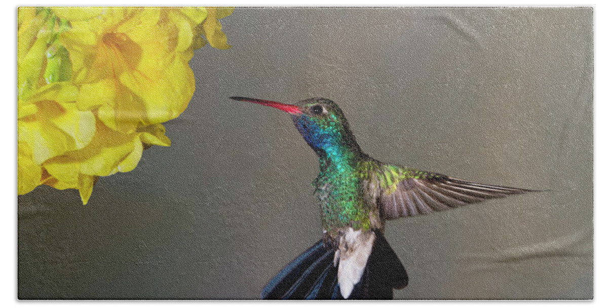Hummingbird Hand Towel featuring the photograph Delicate by Janet Fikar