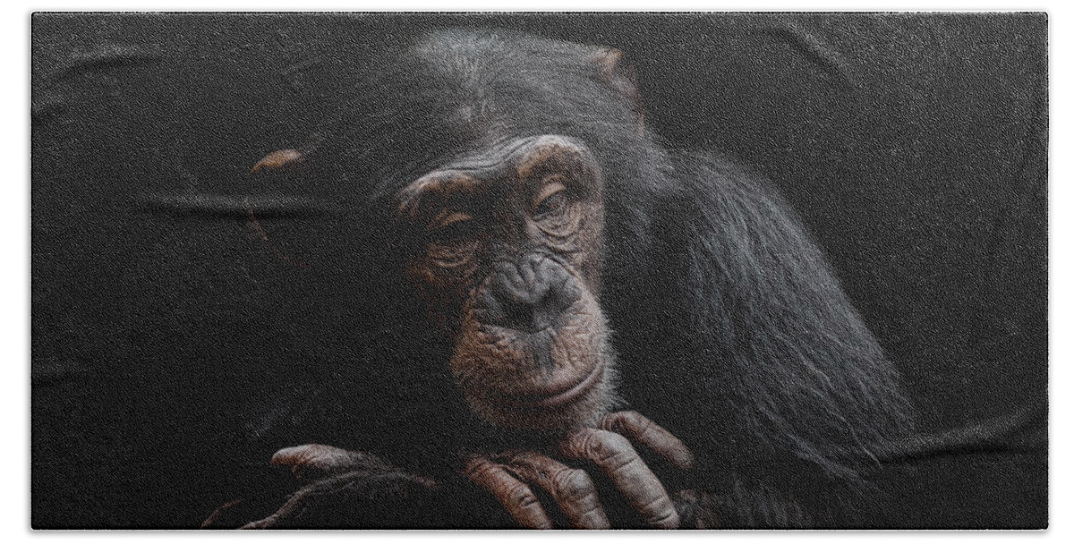 Chimpanzee Hand Towel featuring the photograph Depression by Paul Neville